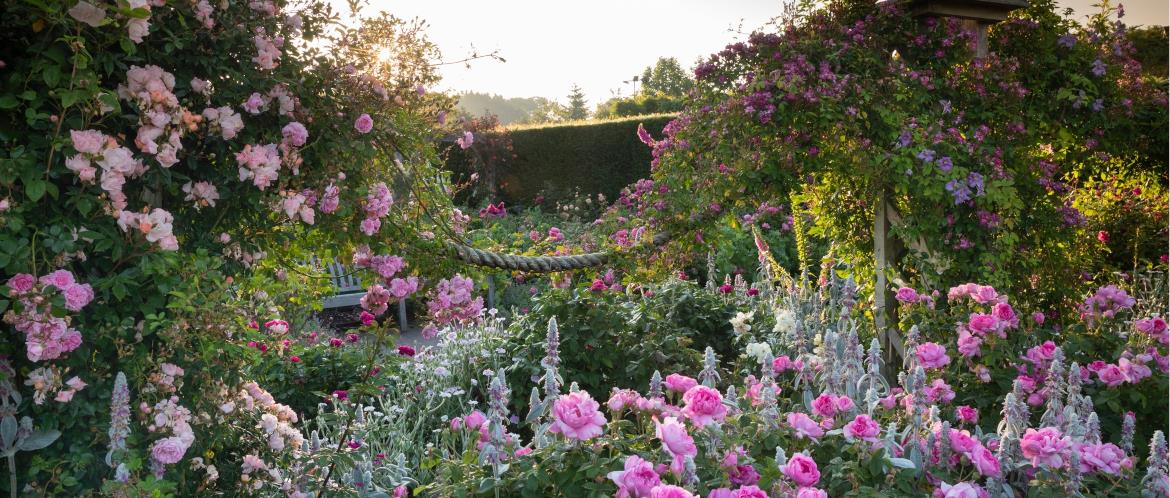 Royal Horticultural Society