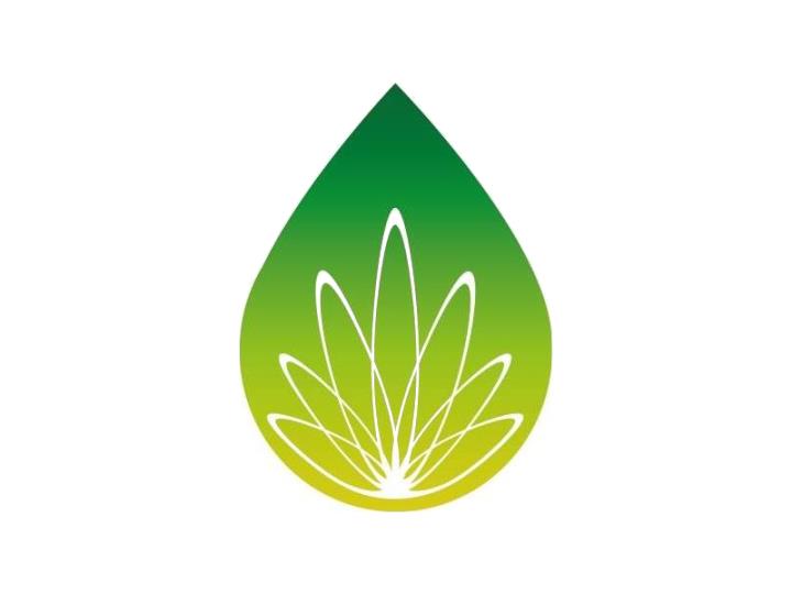 SYNERVA CBD Oils